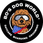 Bo's Dog World	